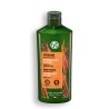 Shampooing Lissage Sans Sulfate