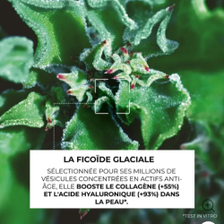 Concentré Double Action
