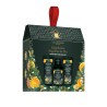 Kit 3 Produits Mandarine Aiguilles de Pin