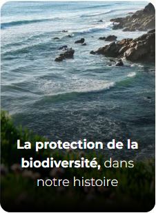 La protection de la biodiversité dans notre histoire